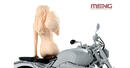 meng-sps076-05
